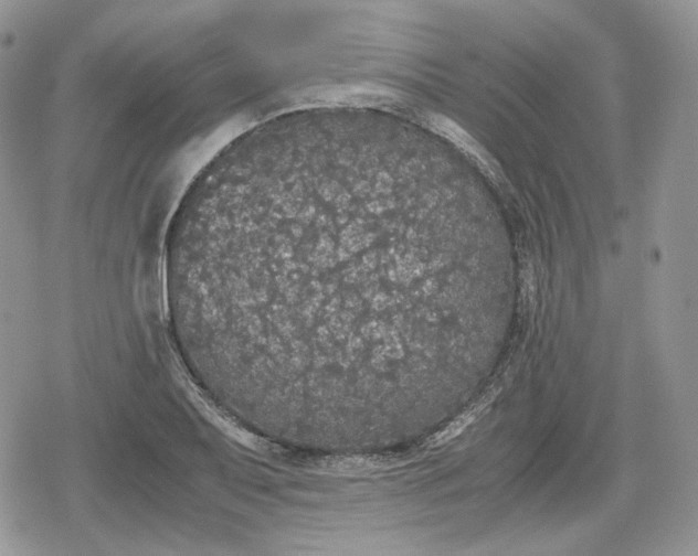 X0000078841079200611271316