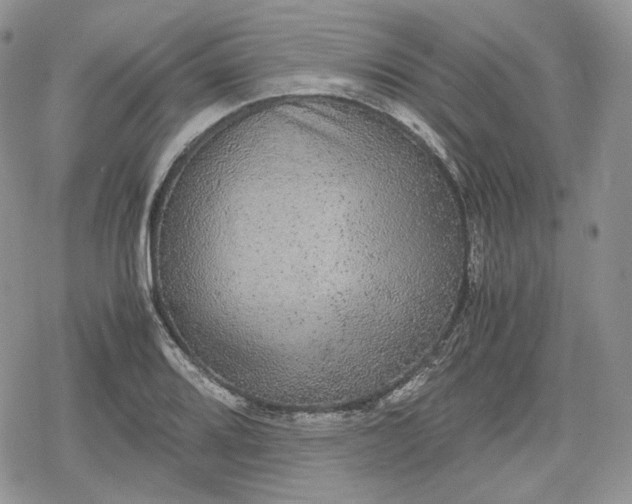 X0000078841080200611271316