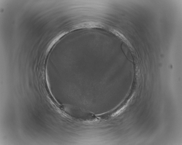 X0000078841081200611271316