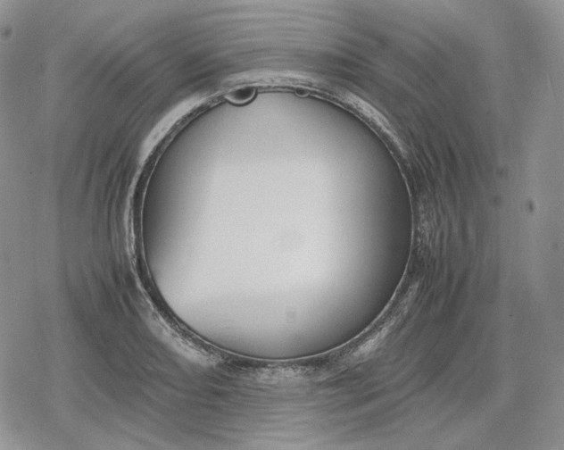 X0000078841082200611271316