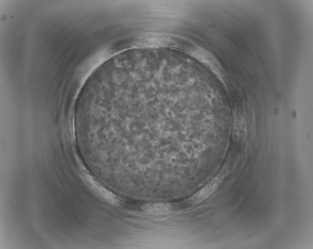 X0000078841083200611271316