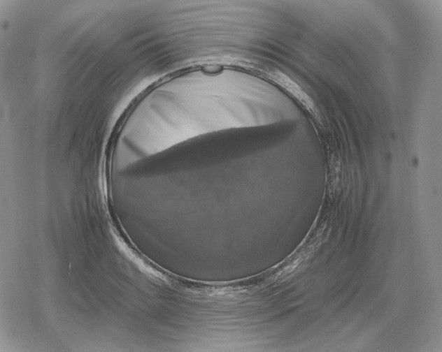 X0000078841084200611271316