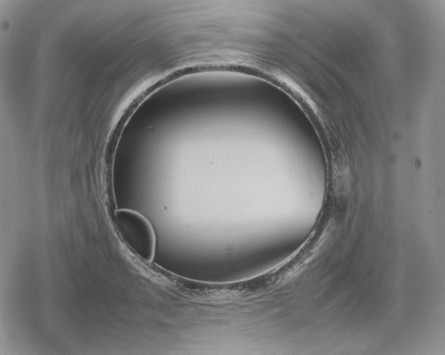 X0000078841085200611271316