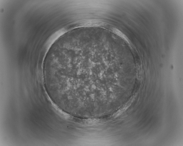 X0000078841087200611271316