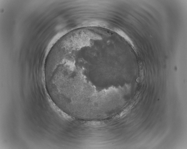 X0000078841088200611271316