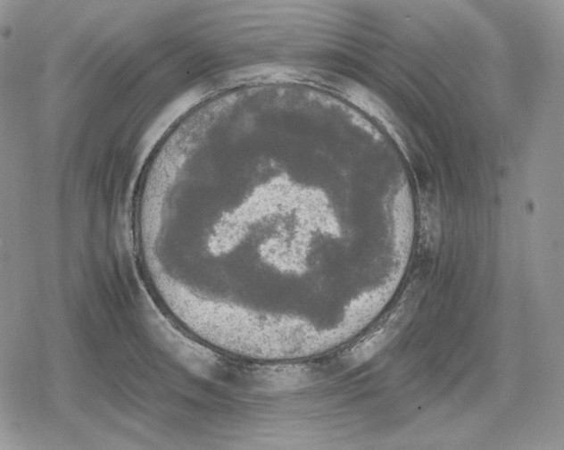 X0000078841090200611271316