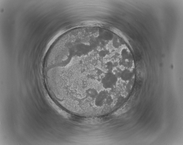 X0000078841091200611271316