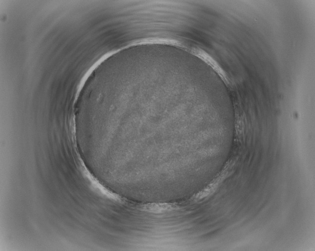 X0000078841092200611271316