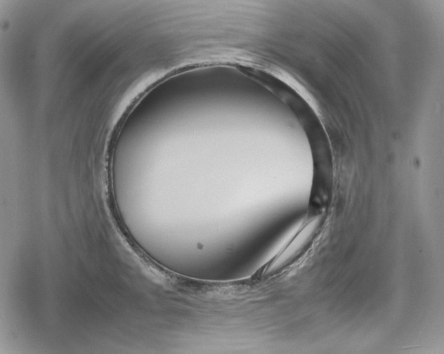 X0000078841093200611271316