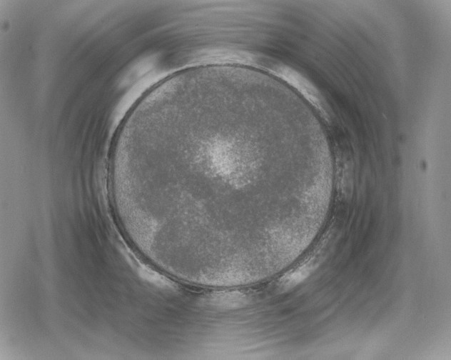 X0000078841094200611271316