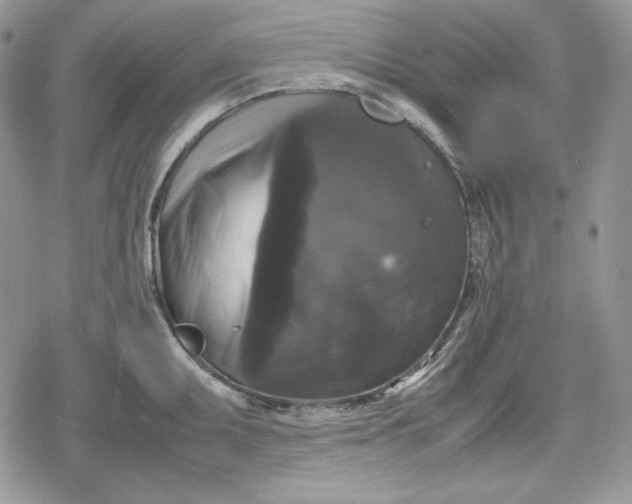 X0000078841095200611271316