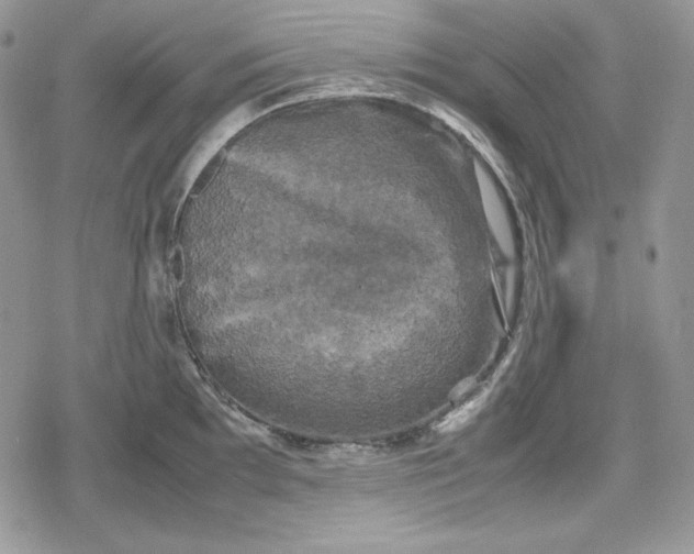 X0000078841097200611271316