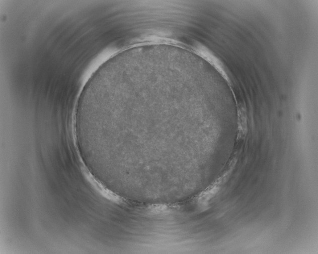 X0000078841098200611271316