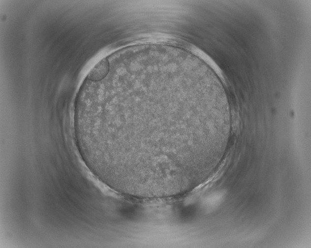 X0000078841099200611271316