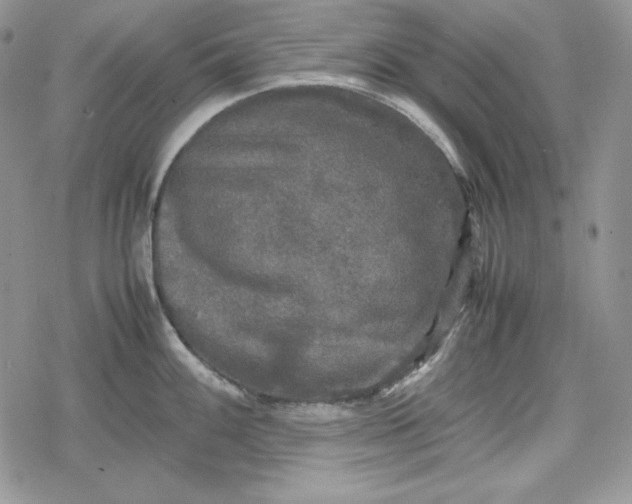 X0000078841100200611271316