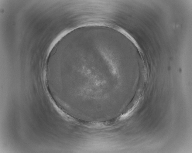 X0000078841101200611271316