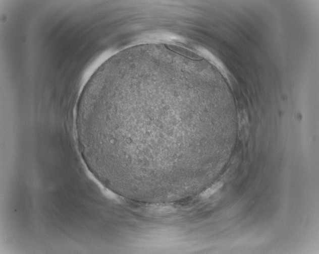 X0000078841103200611271316