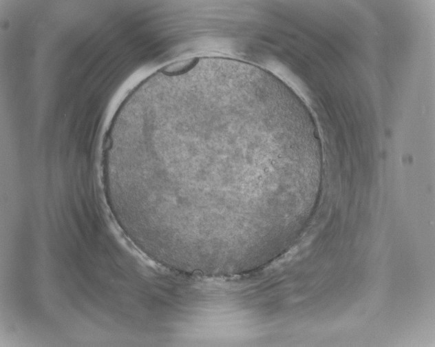 X0000078841104200611271316