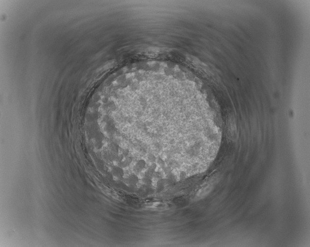 X0000078841105200611271315