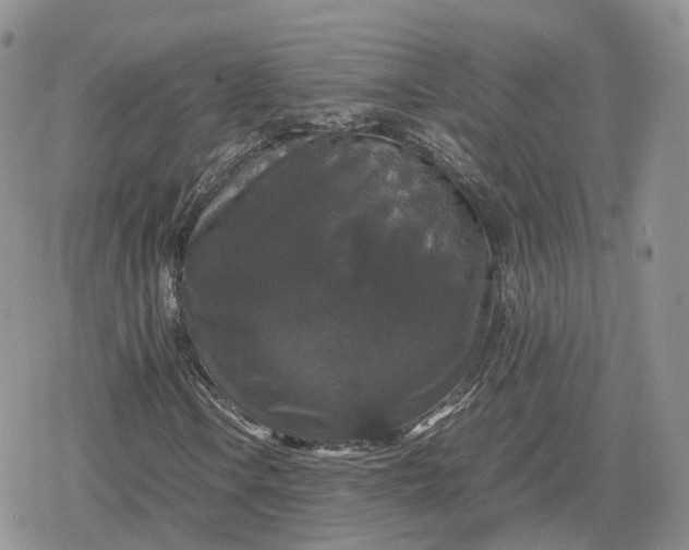 X0000078841106200611271315