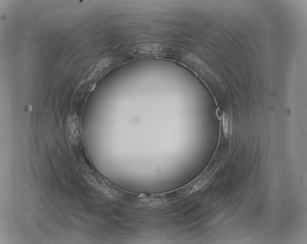 X0000078841107200611271315