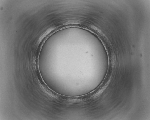 X0000078841113200611271315