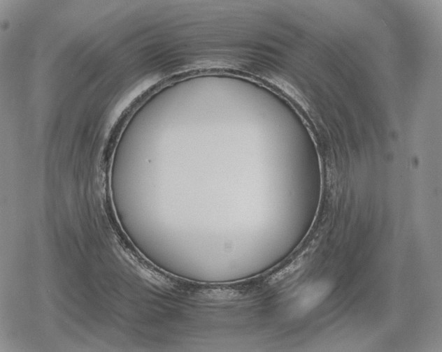 X0000078841119200611271315