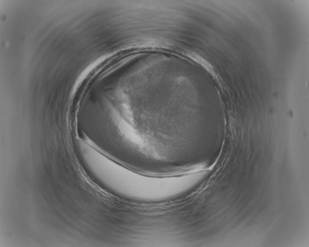 X0000078841120200611271315