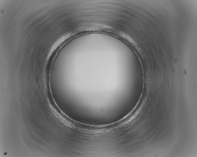 X0000078841122200611271315