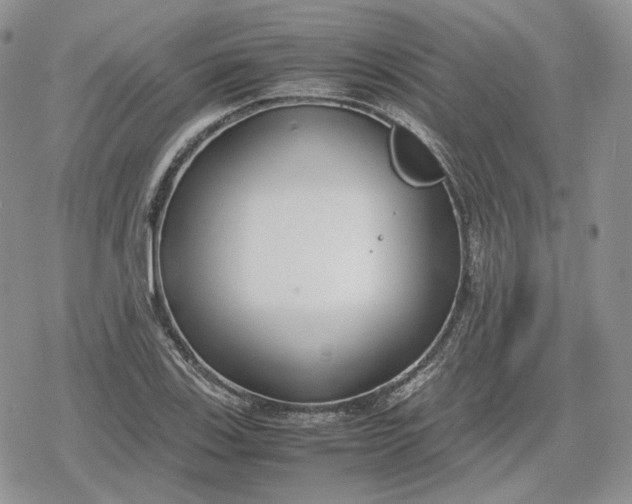 X0000078841123200611271315