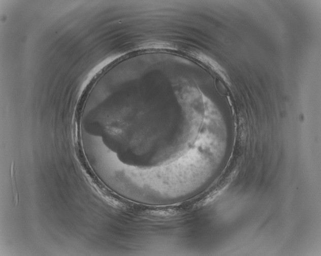 X0000078841125200611271315