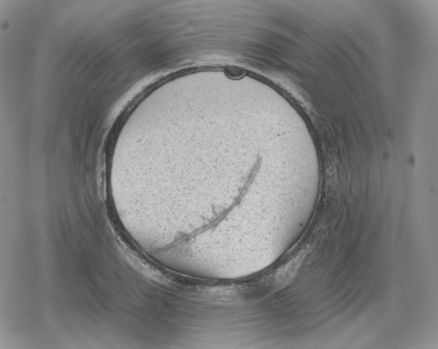 X0000078841126200611271315