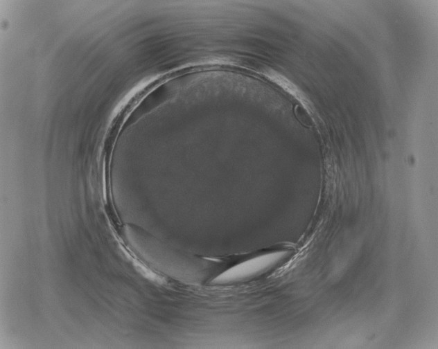 X0000078841127200611271315