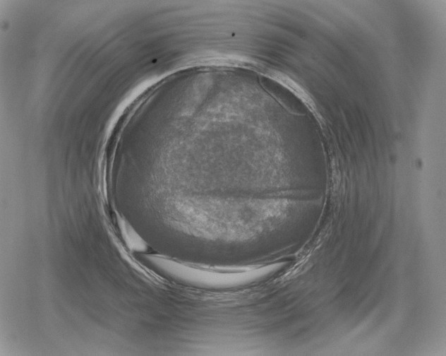 X0000078841128200611271315