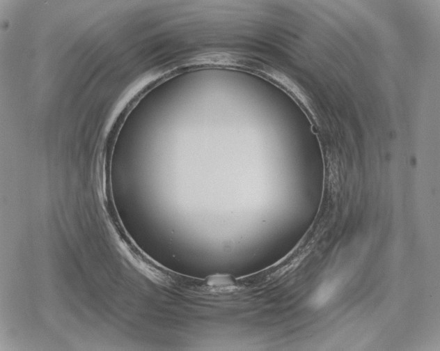 X0000078841131200611271315