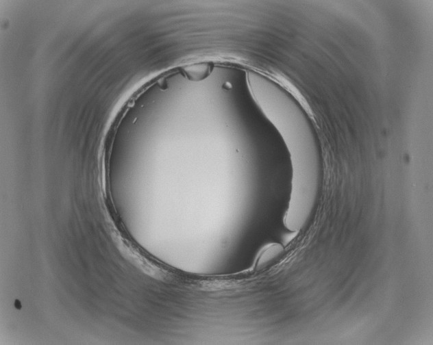 X0000078841132200611271315