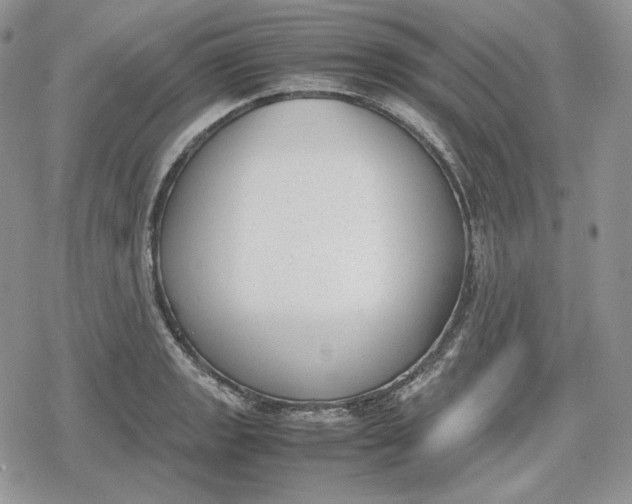 X0000078841133200611271315