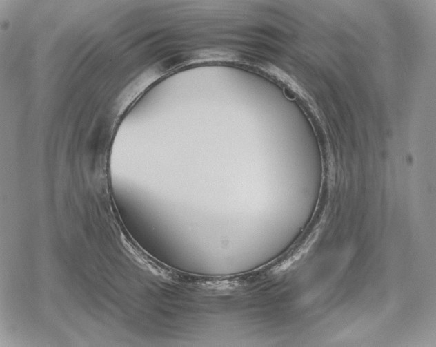 X0000078841137200611271315