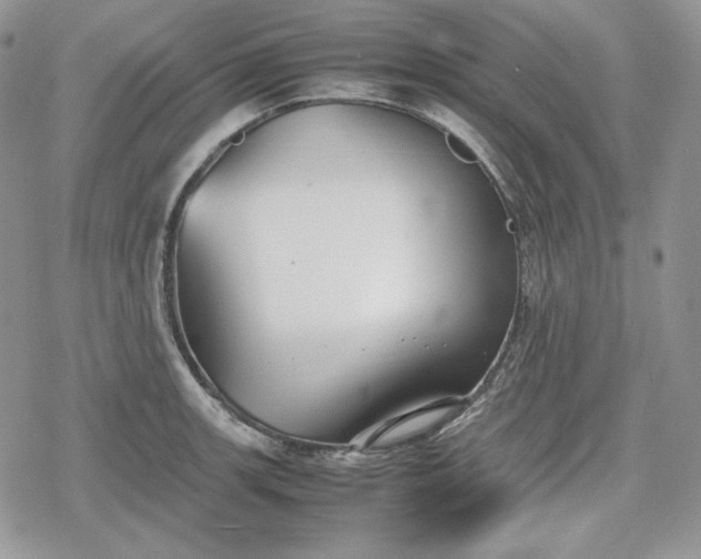 X0000078841139200611271315