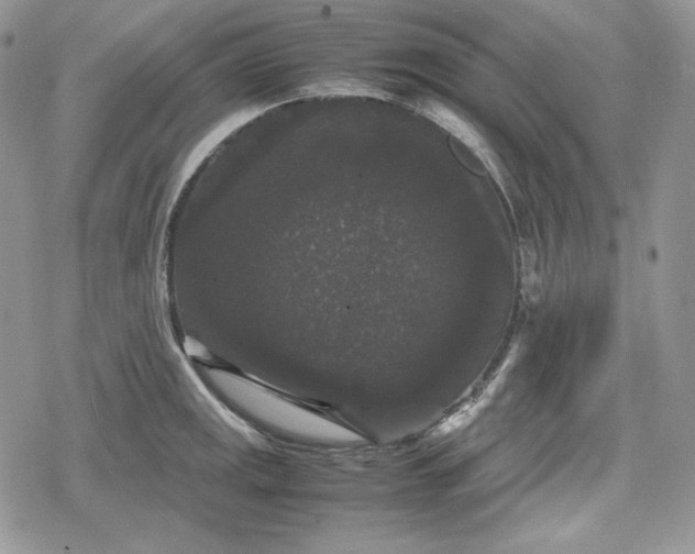 X0000078841141200611271315