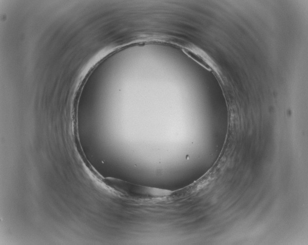 X0000078841143200611271315