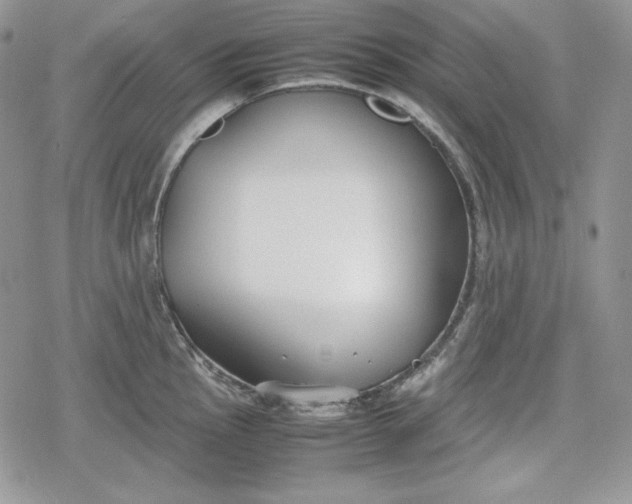 X0000078841145200611271315