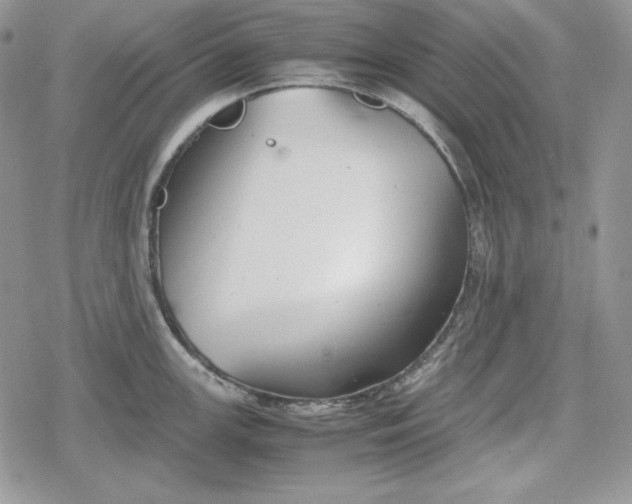 X0000078841147200611271315