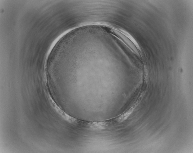 X0000078841148200611271315