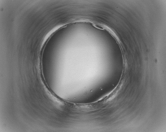 X0000078841149200611271315