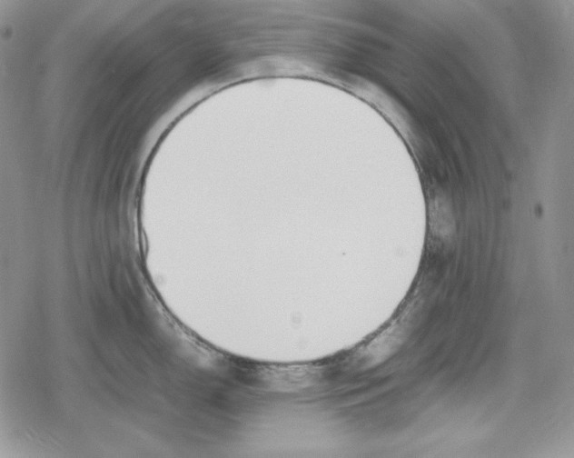 X0000078841150200611271315