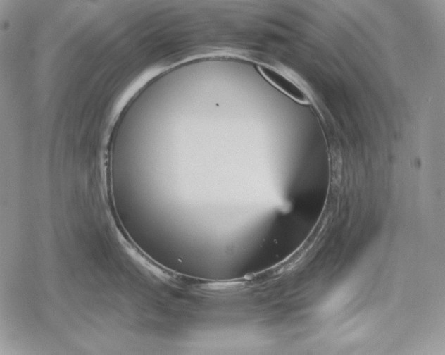 X0000078841151200611271315