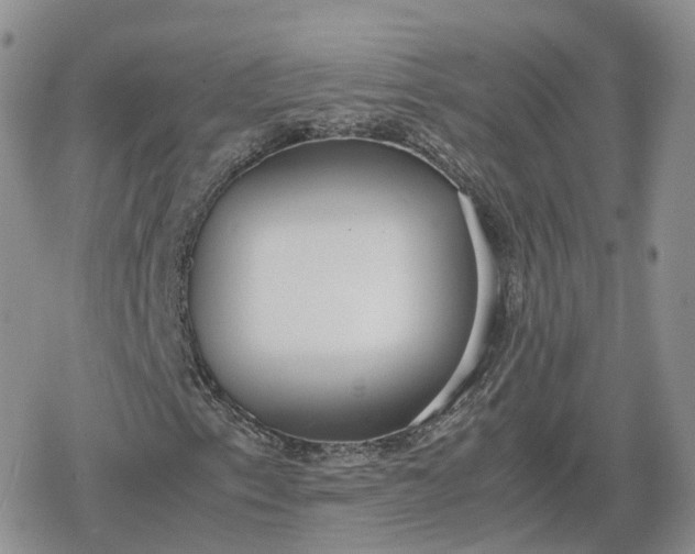 X0000078841153200611271315