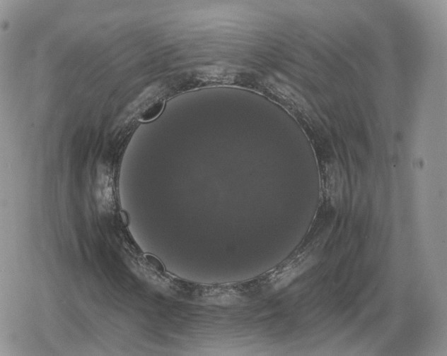 X0000078841154200611271315