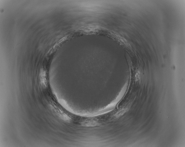 X0000078841156200611271315